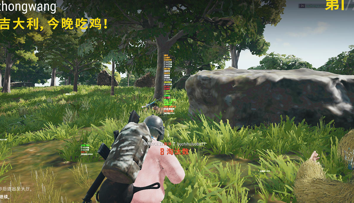 绝地求生辅助,pubg弑天辅助效果